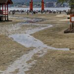 Japon - Temple d'Itsukushima & torii - Miyajima