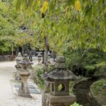 Japon - l'île sacrée de Miyajima