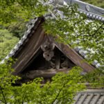 Japon - Temple Daishoin - Miyajima