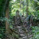 Arts & Vie - Ceibal - Guatemala