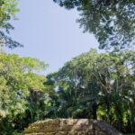 Arts & Vie - Ceibal - Guatemala