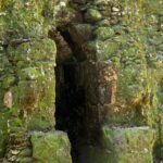 Arts & Vie - Tikal - Guatemala