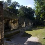 Arts & Vie - Tikal - Guatemala