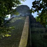 Arts & Vie - Tikal - Guatemala