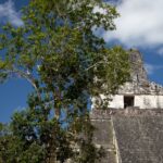 Arts & Vie - Tikal - Guatemala
