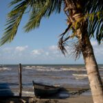 Arts & Vie - Livingstone - Guatemala
