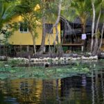 Arts & Vie - Livingstone - Guatemala