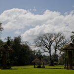 Arts & Vie - Quirigua - Guatemala