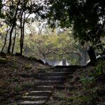 Arts & Vie - Copan - Honduras
