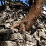Arts & Vie - Copan - Honduras