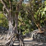 Arts & Vie - Copan - Honduras