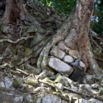 Arts & Vie - Copan - Honduras