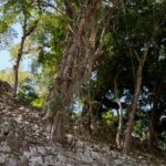 Arts & Vie - Copan - Honduras