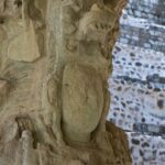Arts & Vie - Copan - Honduras
