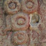 Arts & Vie - Copan - Honduras