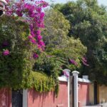 Arts & Vie - Antigua - Guatemala