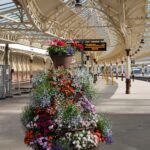 Arts & Vie - Bute - Ecosse