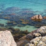 Arts & Vie - Mull & Iona - Ecosse