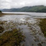Arts & Vie - Eilean Donan - Ecosse