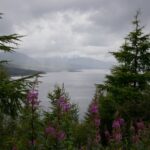 Arts & Vie - Inverewe - Ecosse