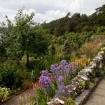 Arts & Vie - Inverewe - Ecosse