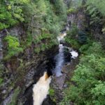 Arts & Vie - Inverewe - Ecosse