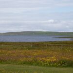 Arts & Vie - Îles Orcades - Ecosse