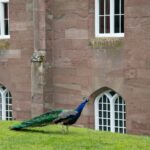Arts & Vie - Scone Palace - Ecosse