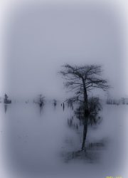 Image68_resultat