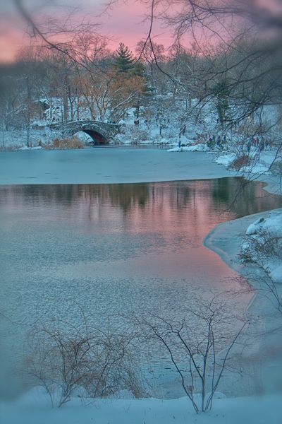 _MG_8428-1
